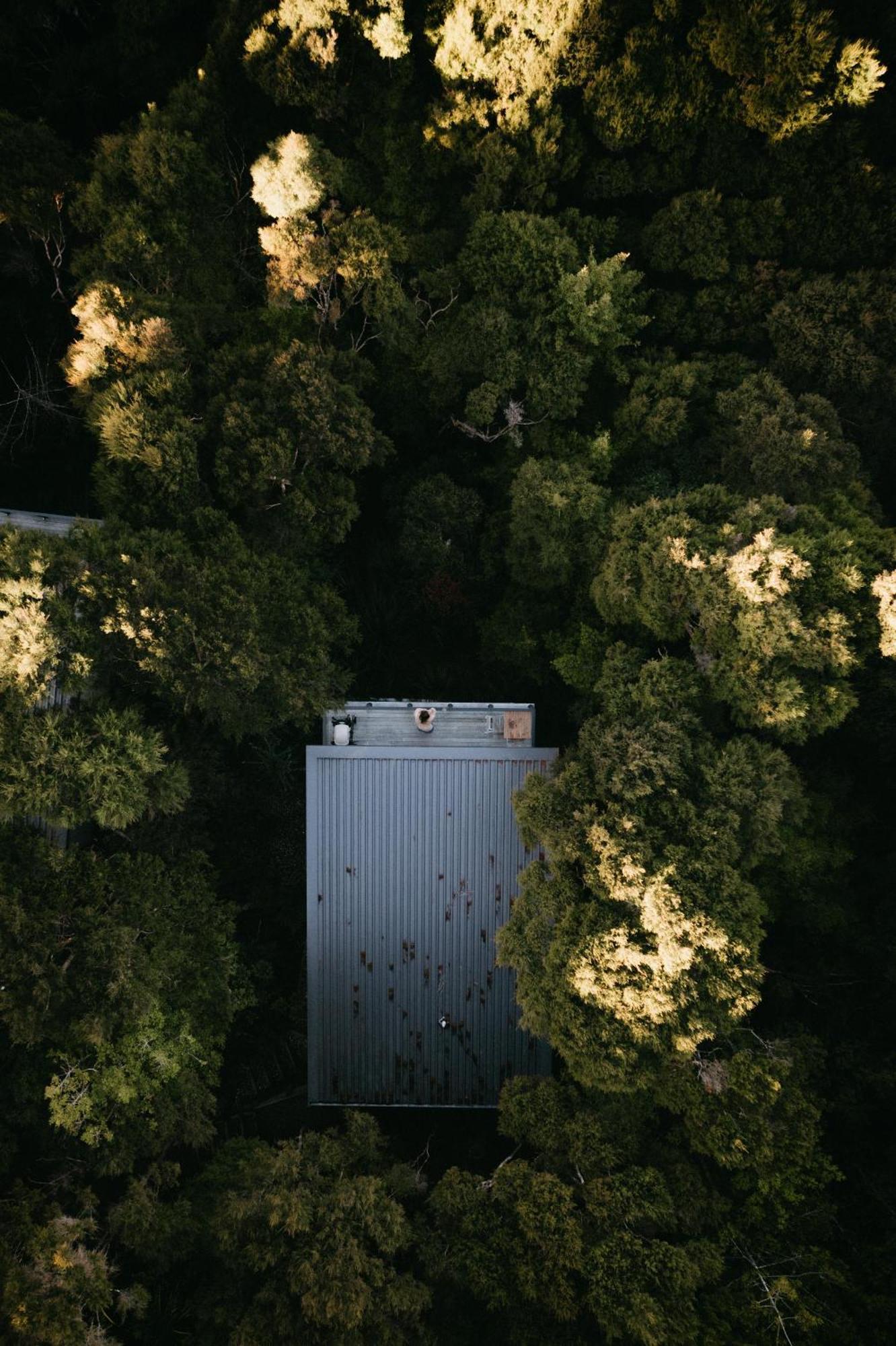 Treetop Tranquility At Rekindle Tree Houses Opua Eksteriør bilde
